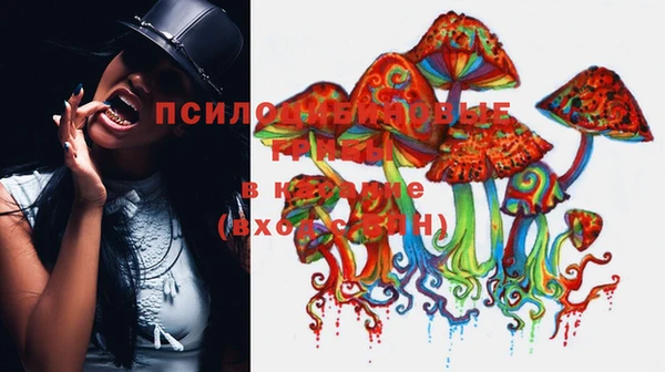 дмт Балахна