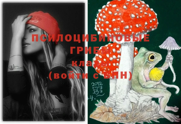 дмт Балахна
